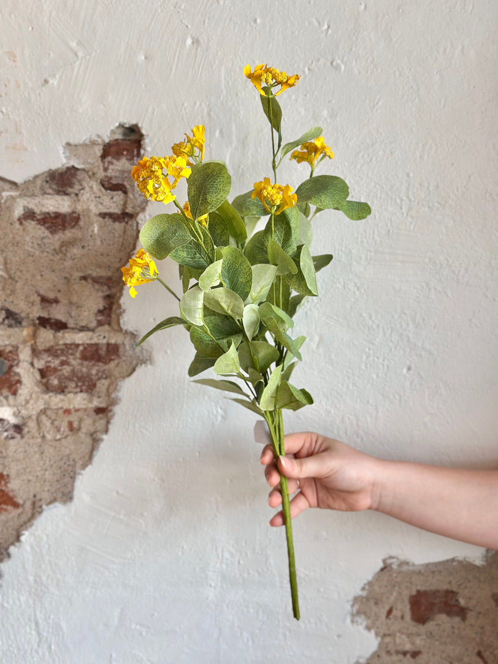 22" Wild Viburnum Bush