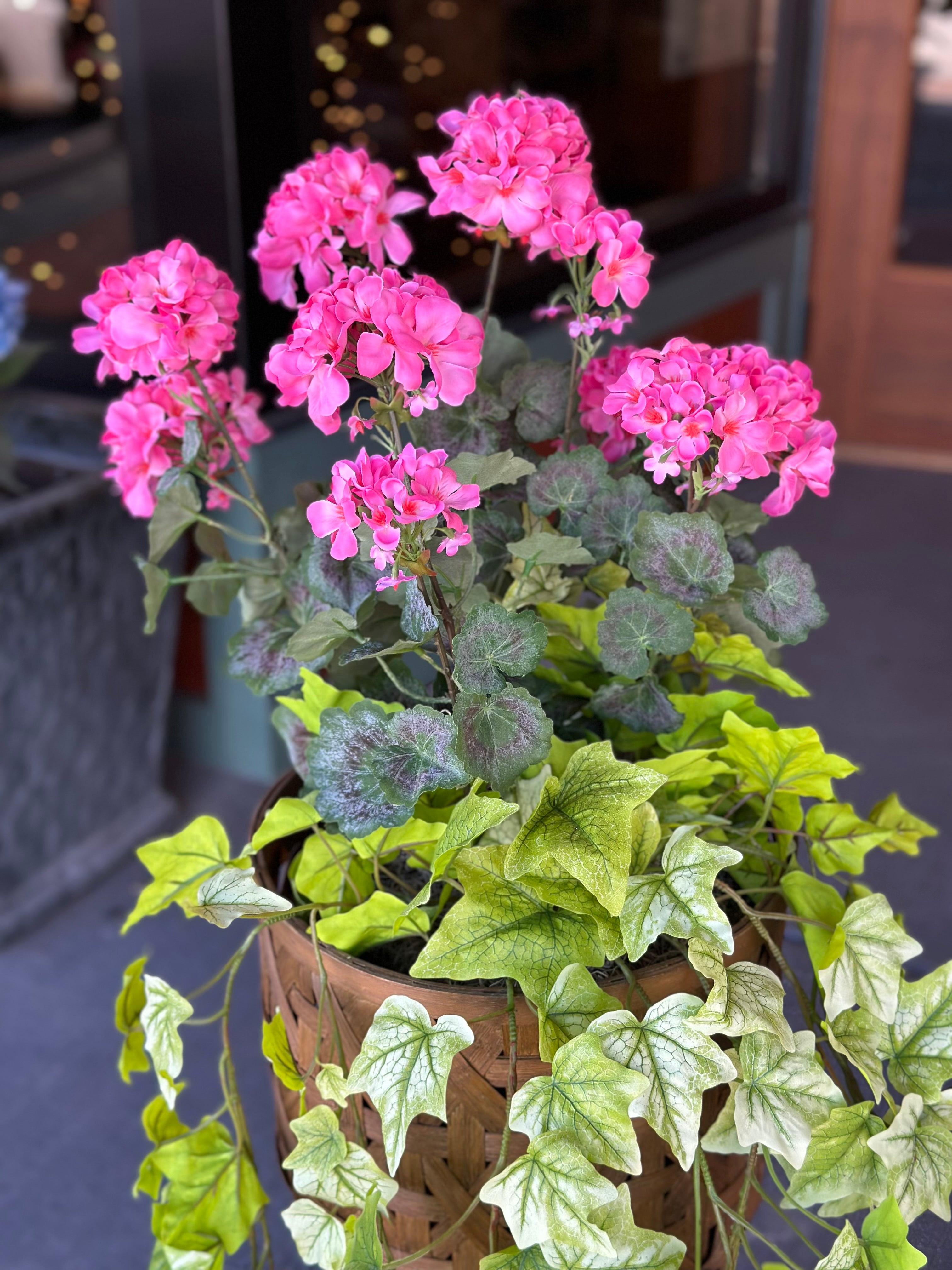 10" Pink Geranium & Holland Ivy Pot Filler