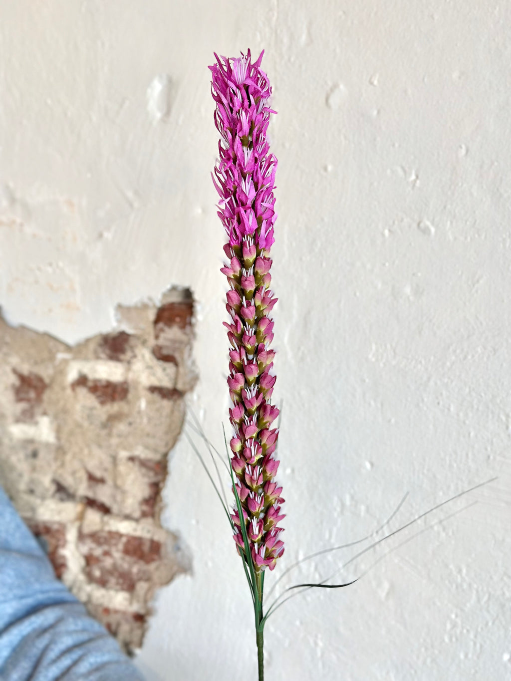 LIATRIS SPRAY 26" PURPLE