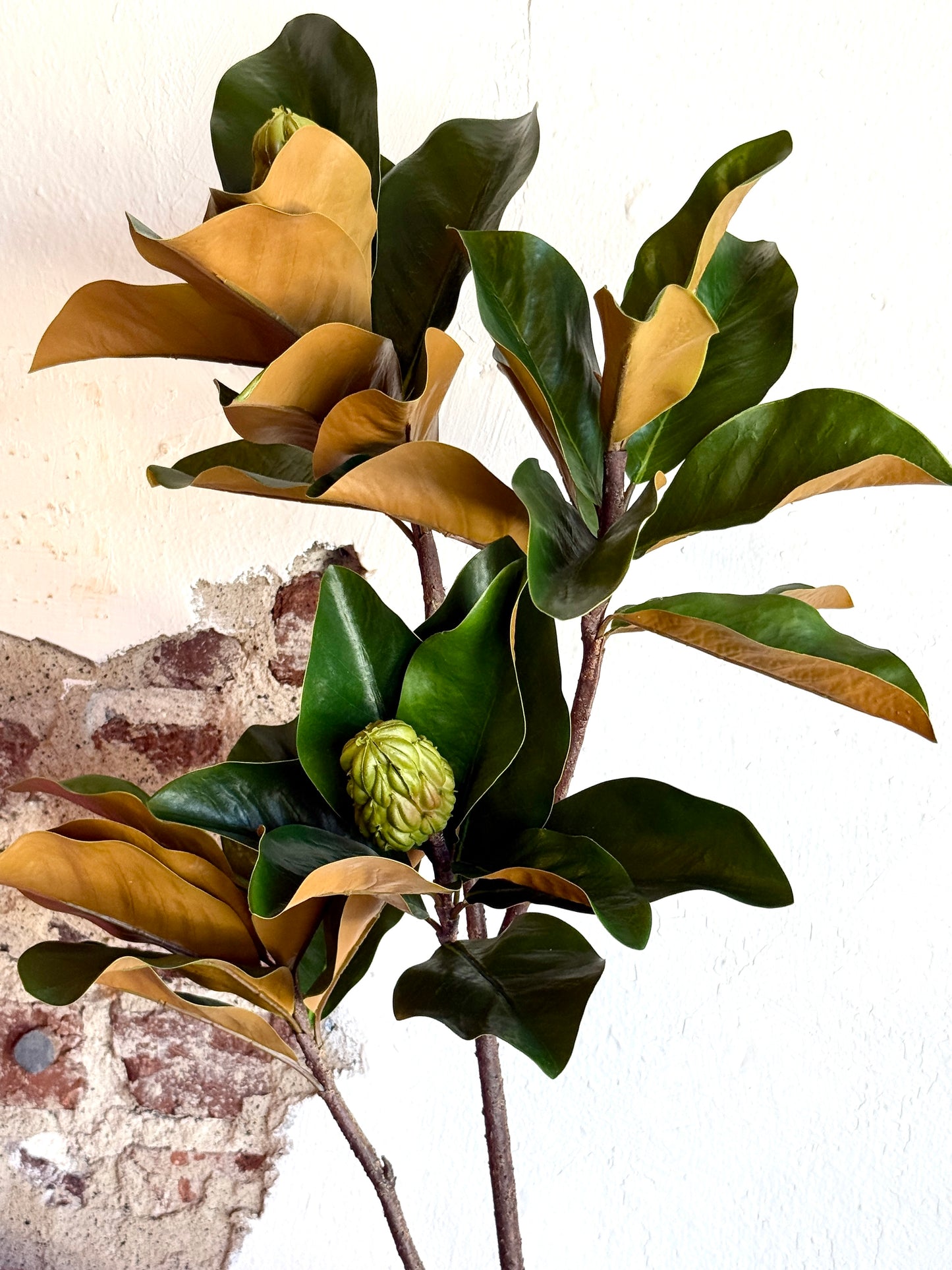 44” Grand Magnolia Leaf Branch with Pods
