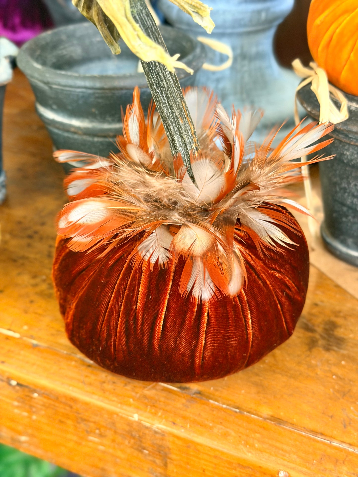 5" Apricot Velvet Pumpkin with Partridge Feather Collar