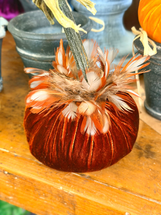 5" Apricot Velvet Pumpkin with Partridge Feather Collar