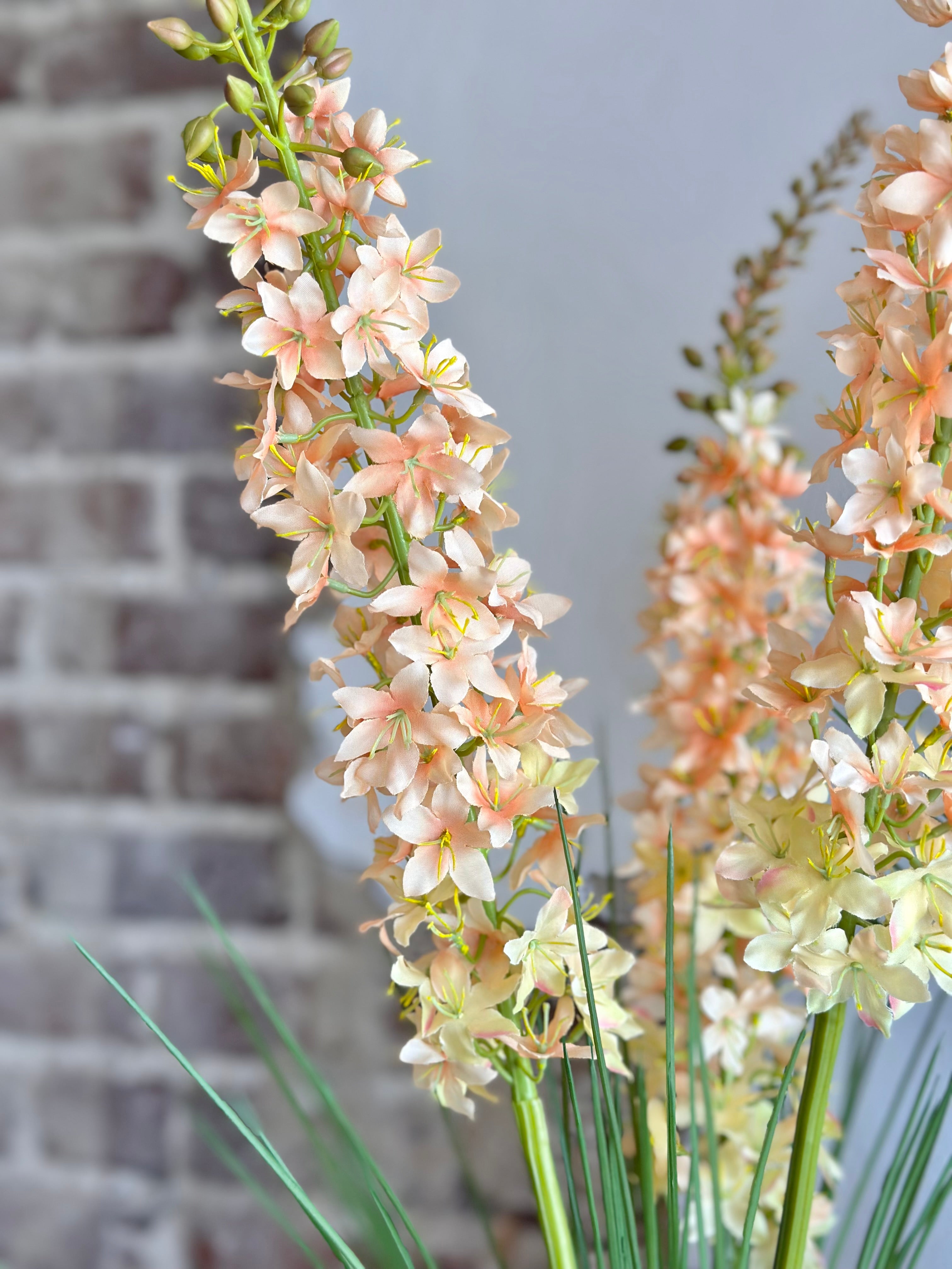 Potted Delphinium in Wicker Style Pot
