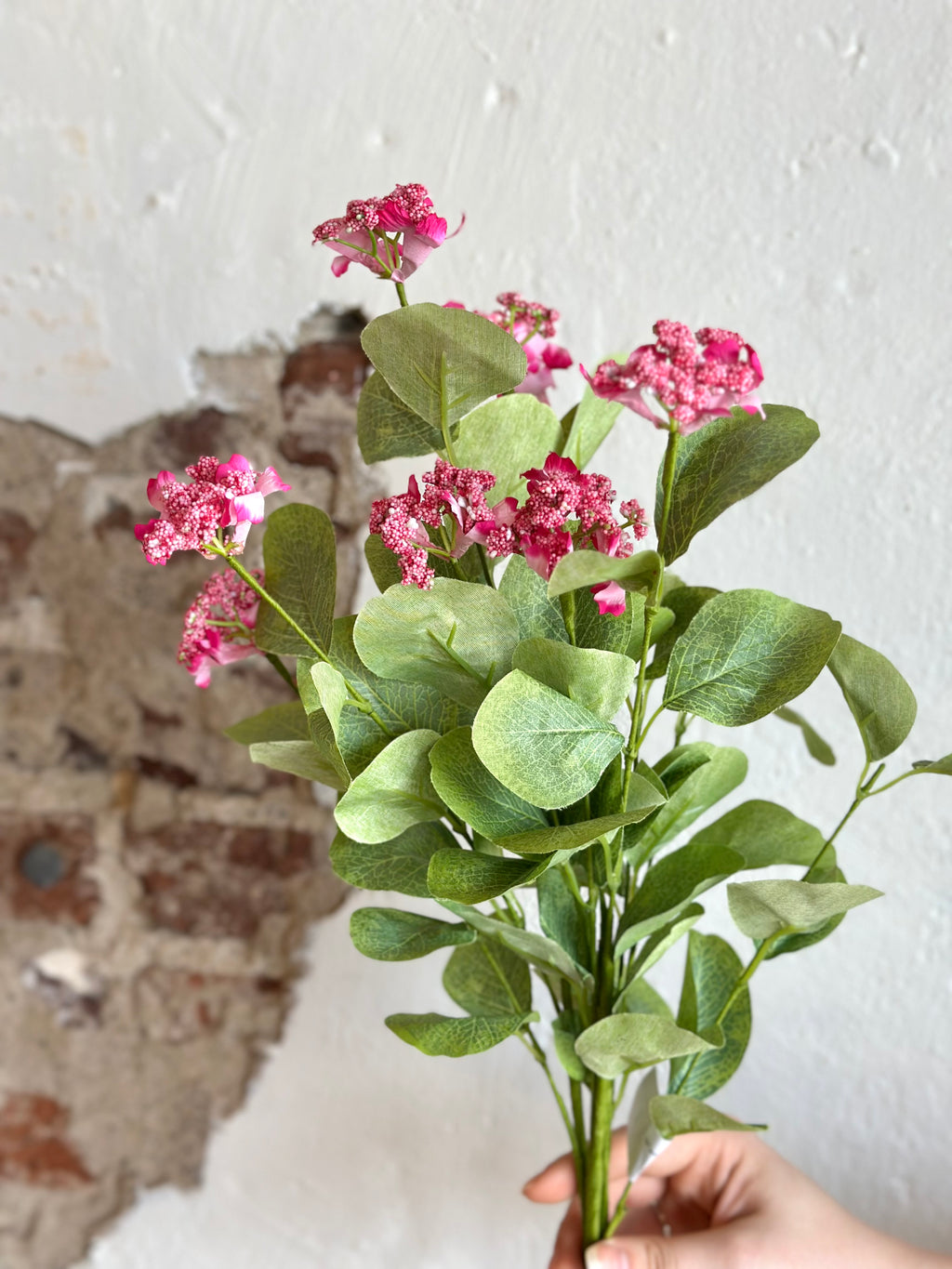 22" Wild Viburnum Bush