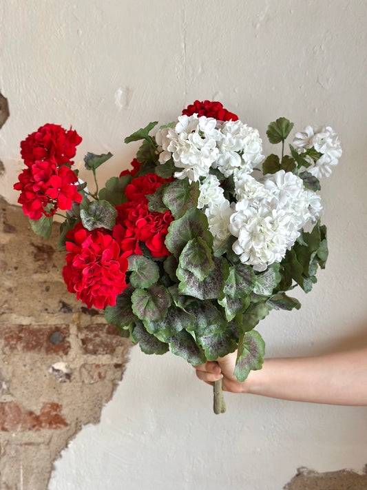 22" Hanging Summer Geranium Plant