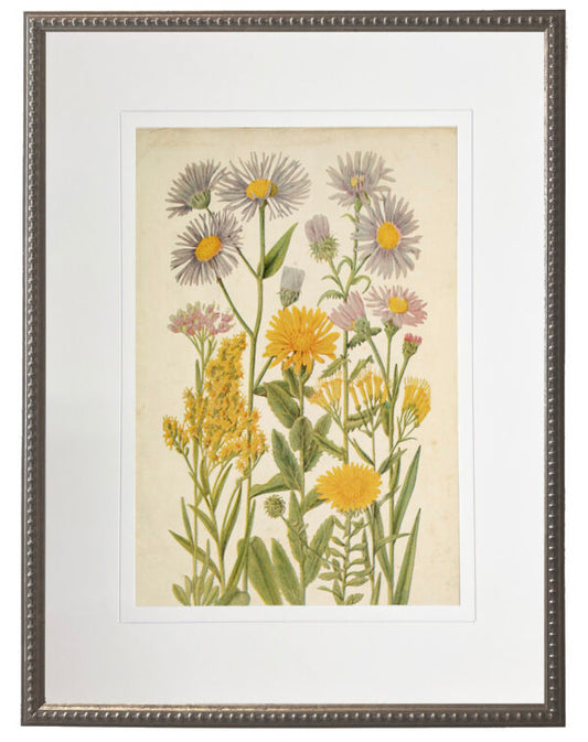 Vintage Wildflower Artwork 18 X 24 (955B)
