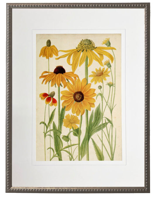 Vintage Wildflower Artwork 18 X 24 (955C)