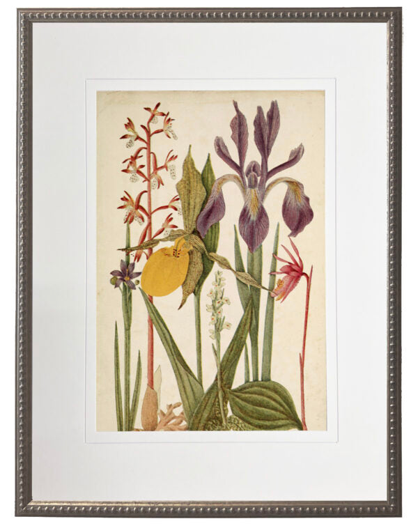 Vintage Wildflower Artwork 18 X 24 (955I)