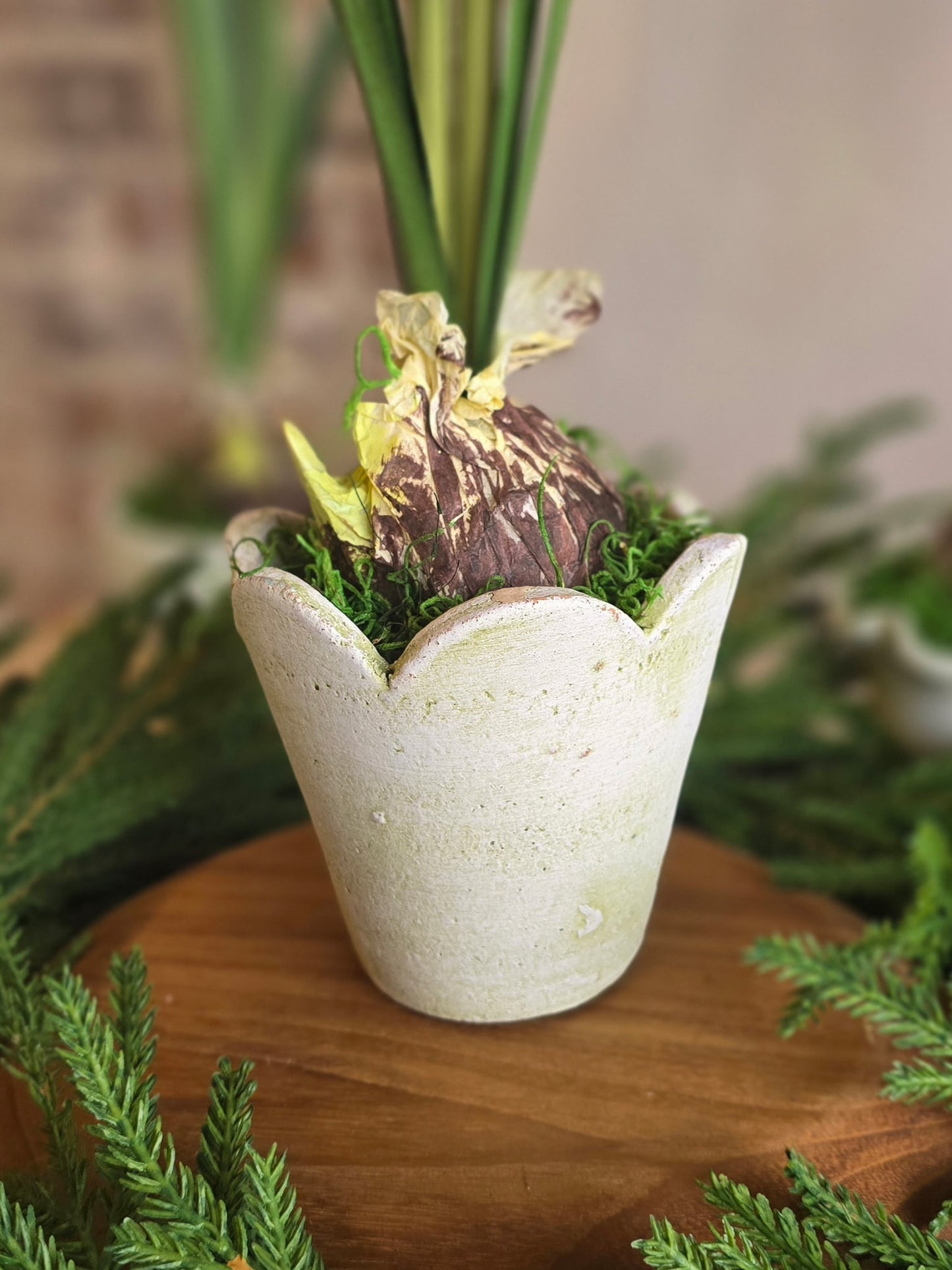 Paperwhite and Bulb Arrangement White Pot (Pot Design Options)