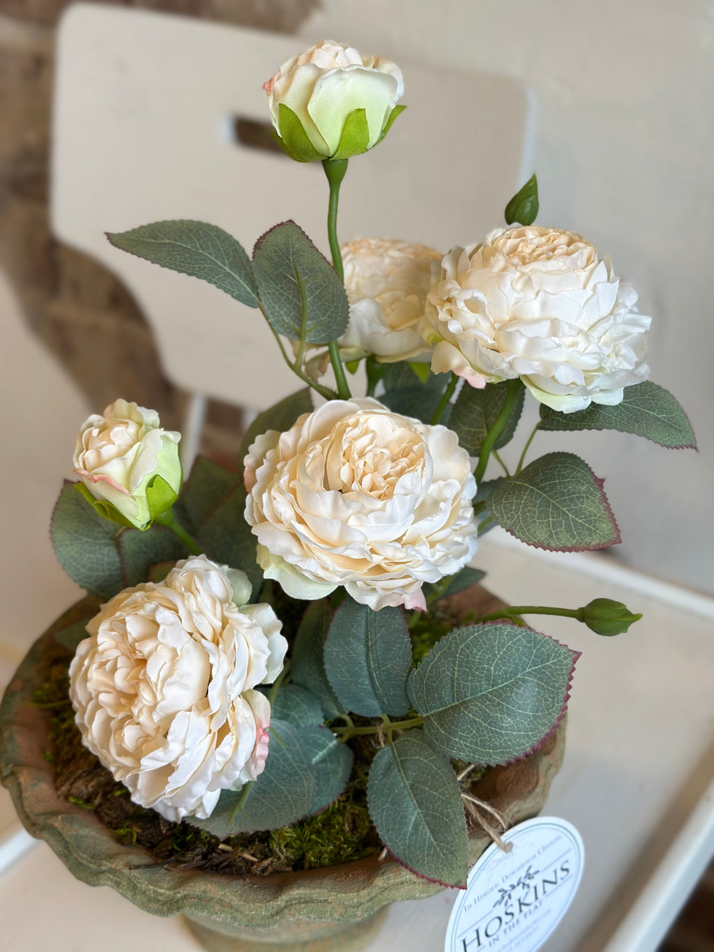 Potted “Freeze-dry” Garden Roses