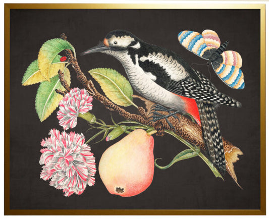 Vintage Artwork -Bird, Flowers and Insects 16 X 12 (975A)