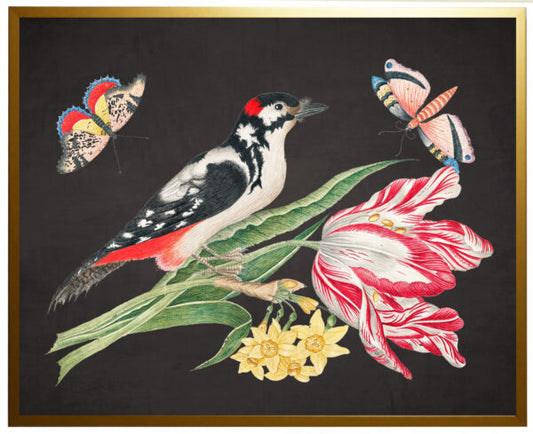 Vintage Artwork - Birds, Flowers and Insects 16 X 12 (975D)