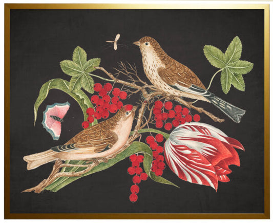 Vintage Artwork - Birds, Flowers and Insects 24 X 18 (975G)