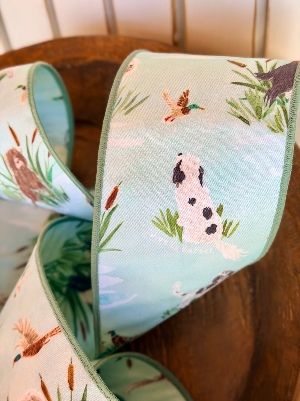 In the Wild Ribbon