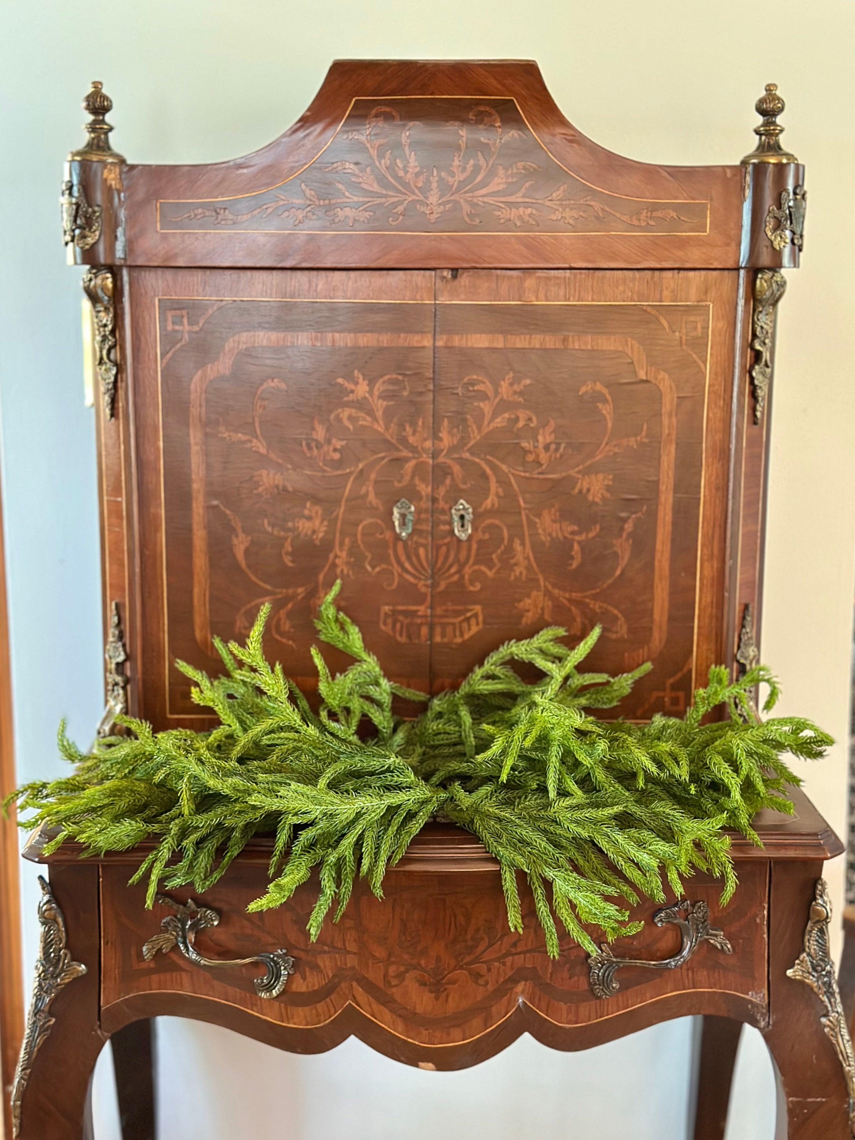 *ONLINE EXCLUSIVE!* 24" JUST CUT NORFOLK PINE CENTERPIECE