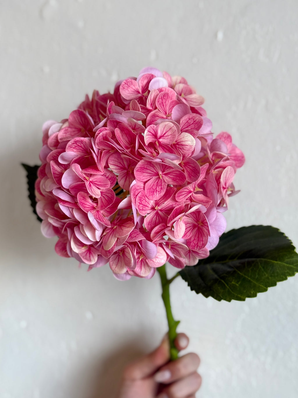 REAL TOUCH HYDRANGEA 18.5"- HOT PINK