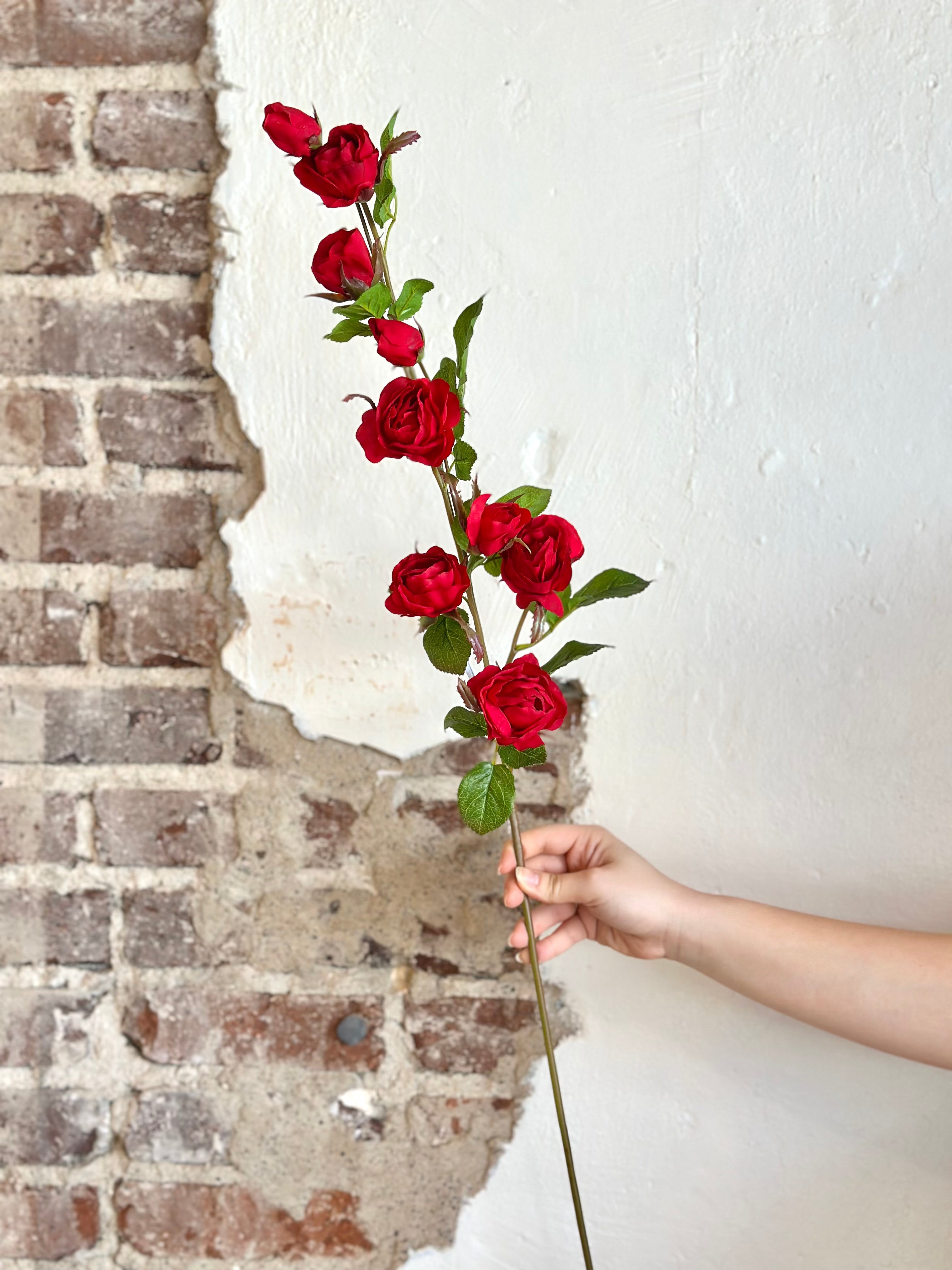 37" Just Cut Garden Rose Branch