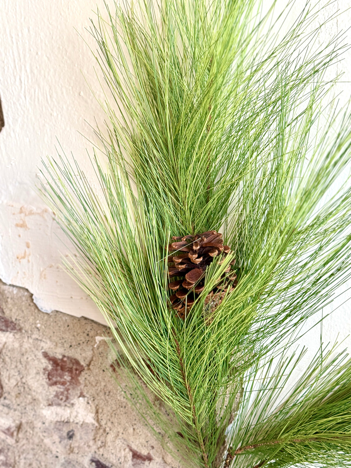 34" HORSETAIL PINE W/CONE SPRAY