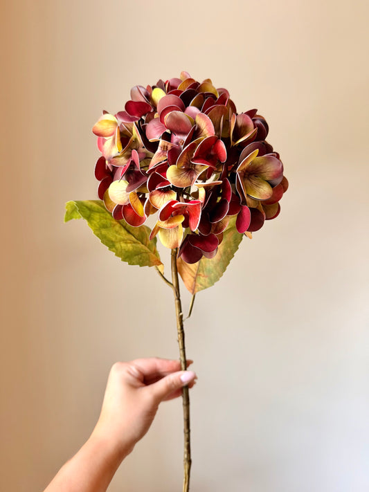 23"JUST CUT AUTUMN HYDRAGNEA