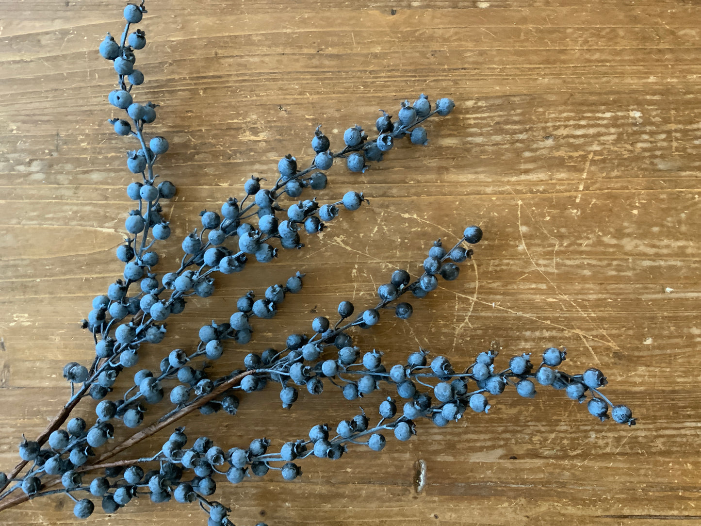 34” Berry Bush Blue - Outdoor