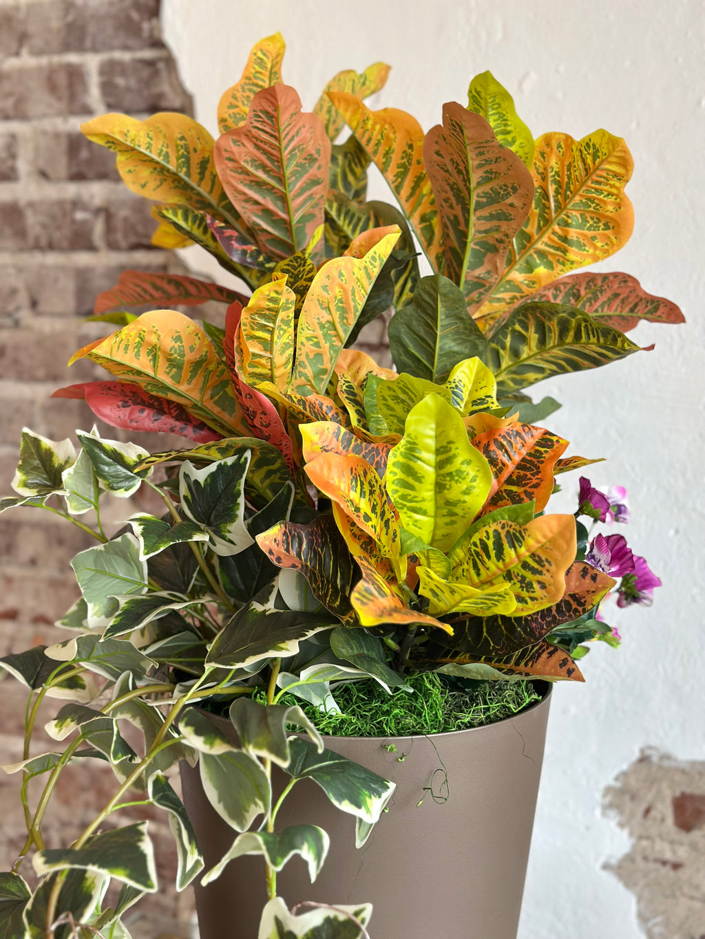 Croton Arrangement