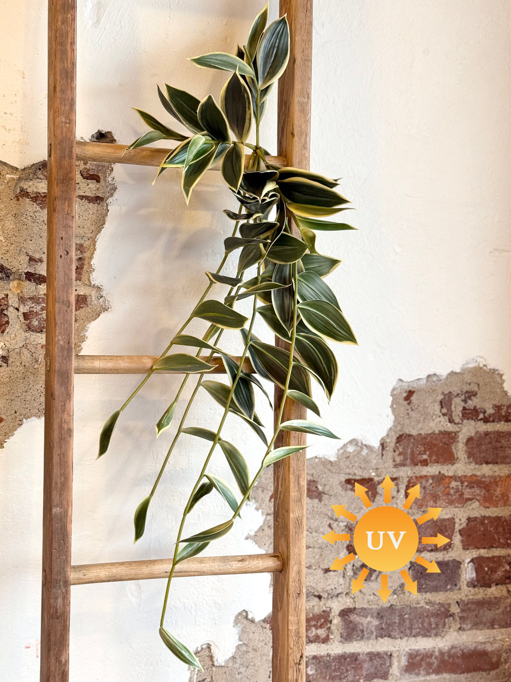 31” UV NATURAL TOUCH TRAILING BAMBOO