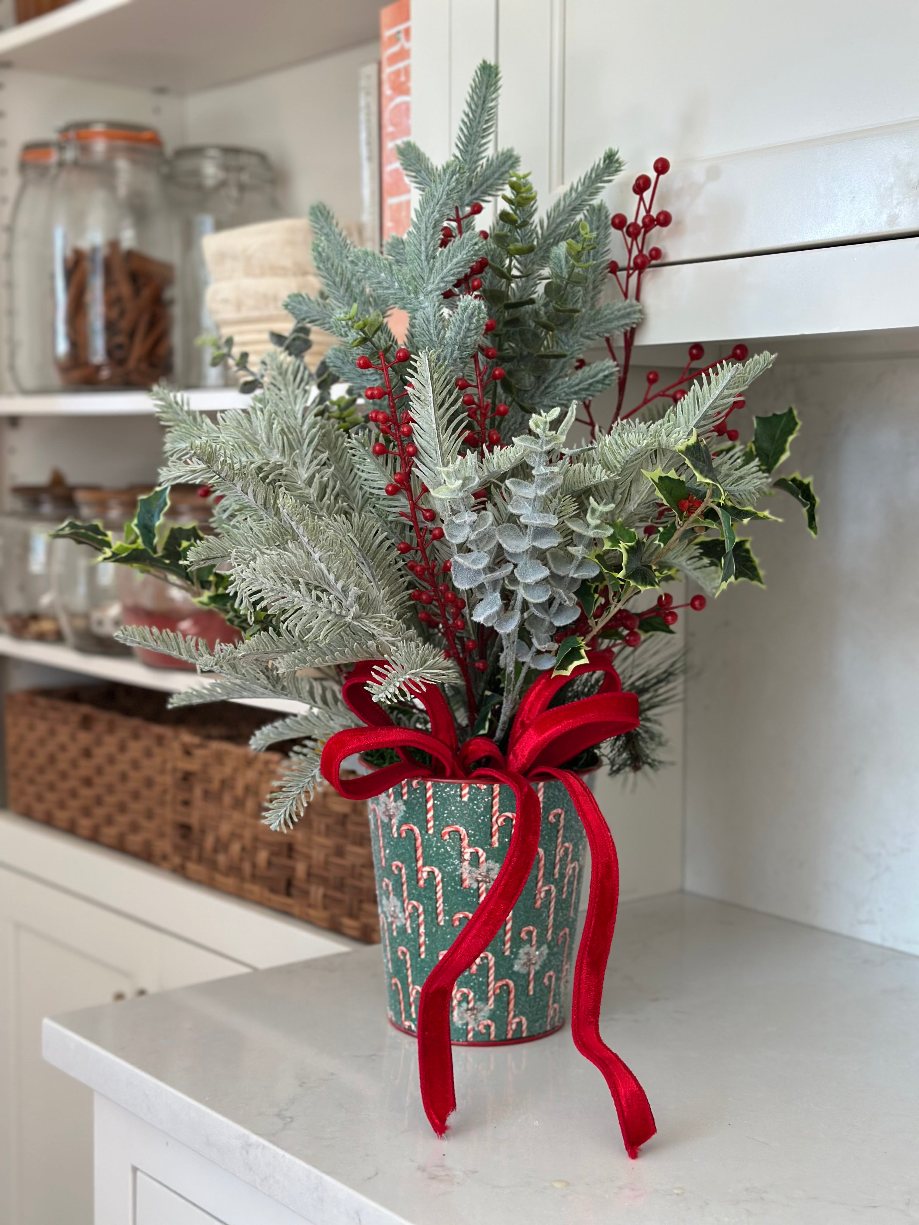 Spruce and Holly in Candy Cane Bucket