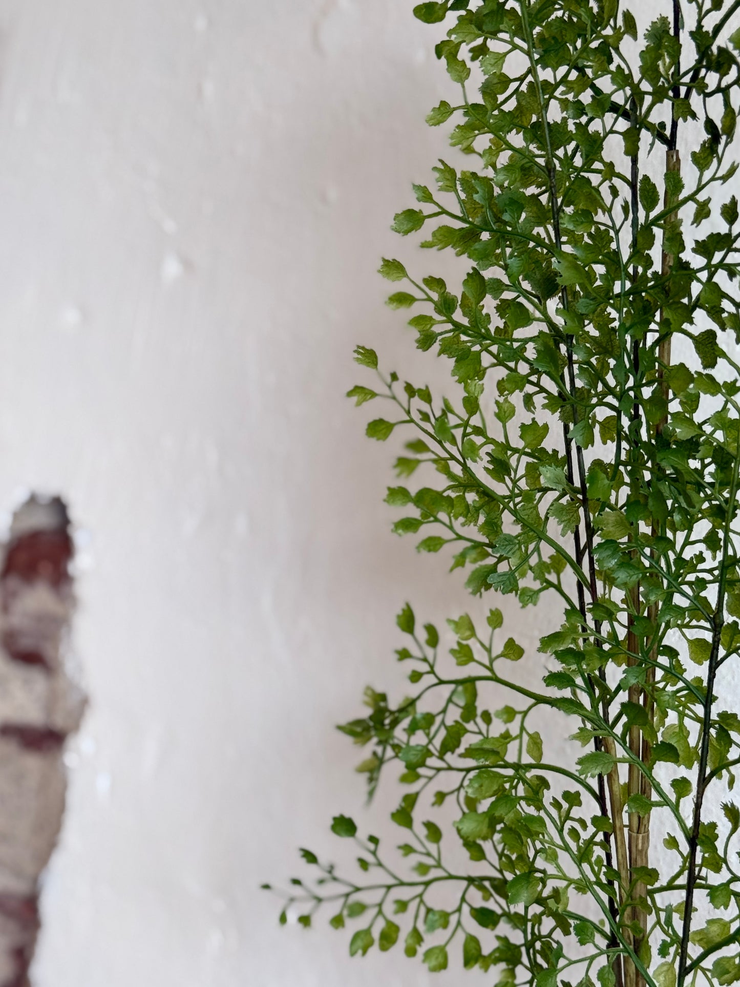 42" Maidenhair Fern Spray