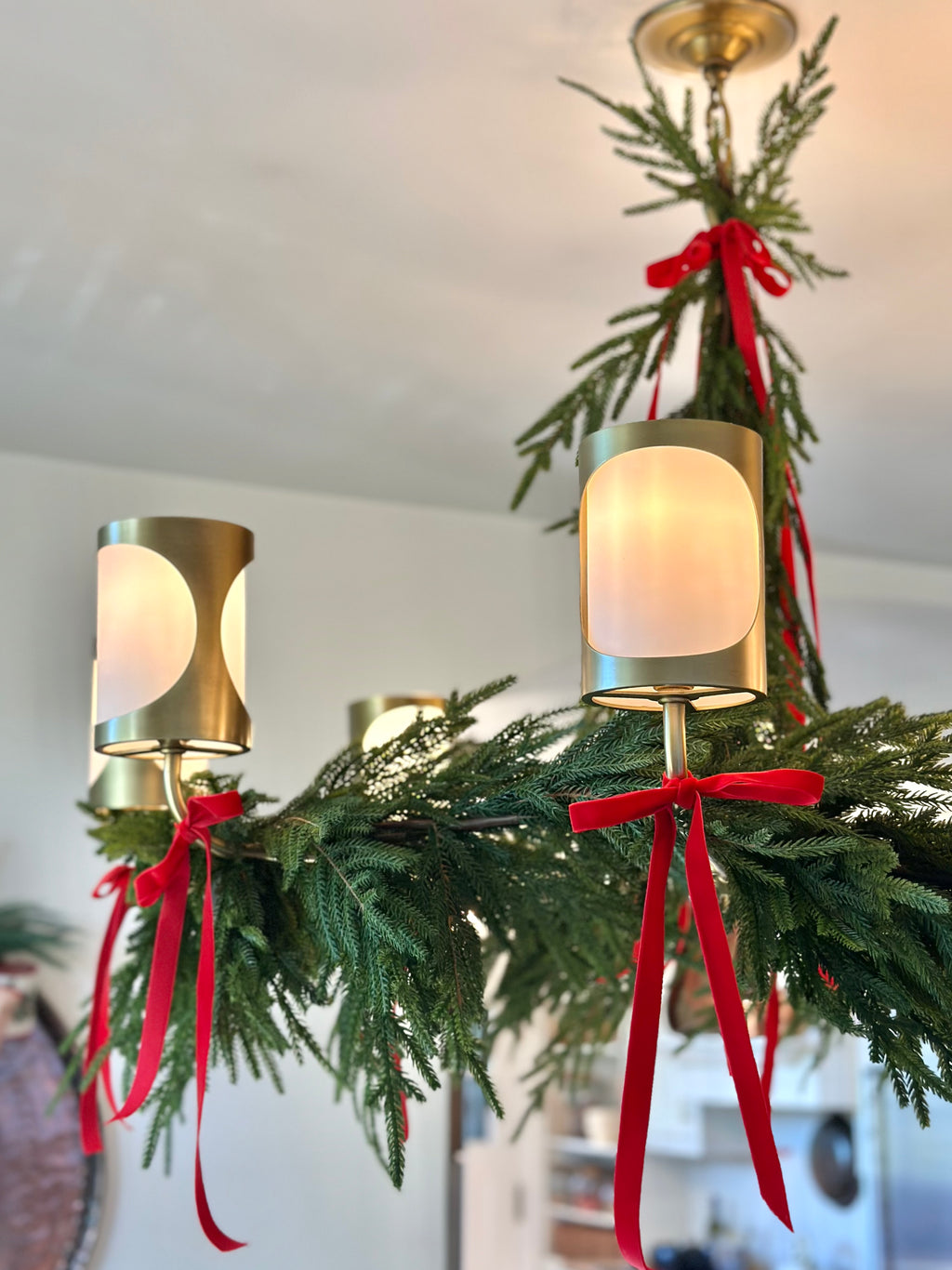 6' REAL TOUCH DELUX AUSTRIAN PINE GARLAND
