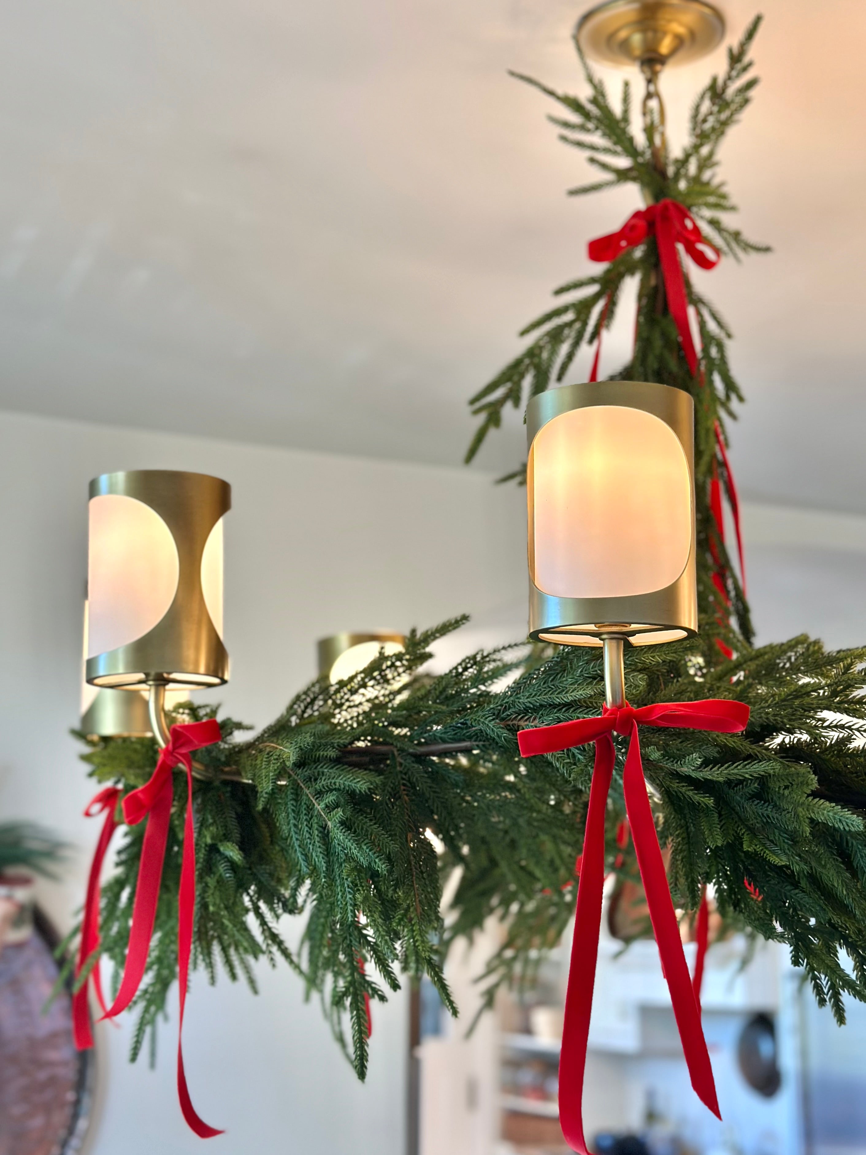 6' REAL TOUCH DELUX AUSTRIAN PINE GARLAND