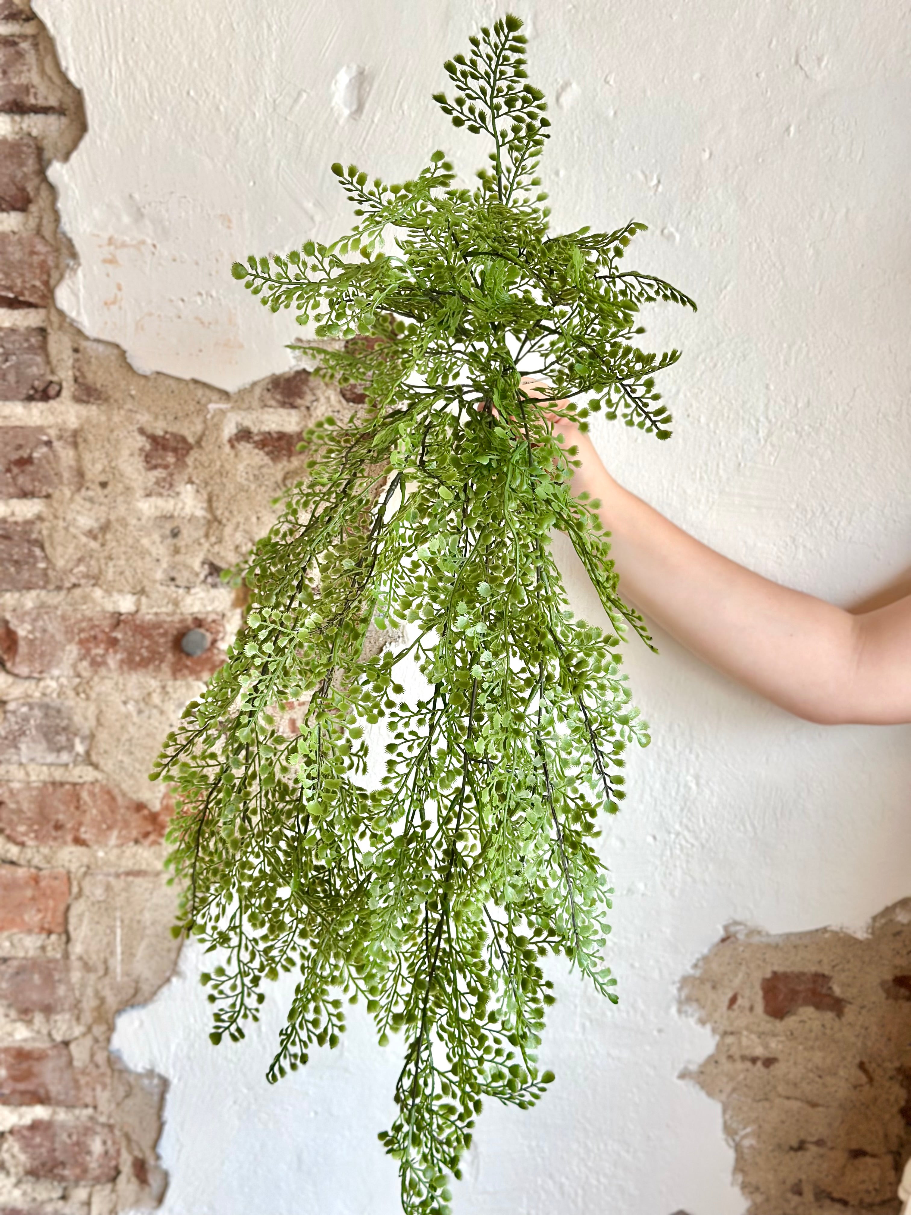 32" Hanging Maiden Hair