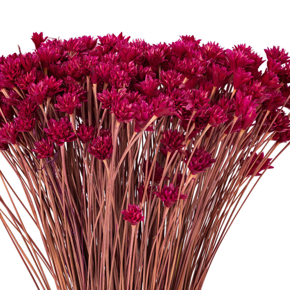 20” Dried Raspberry Hil Flower Bunch