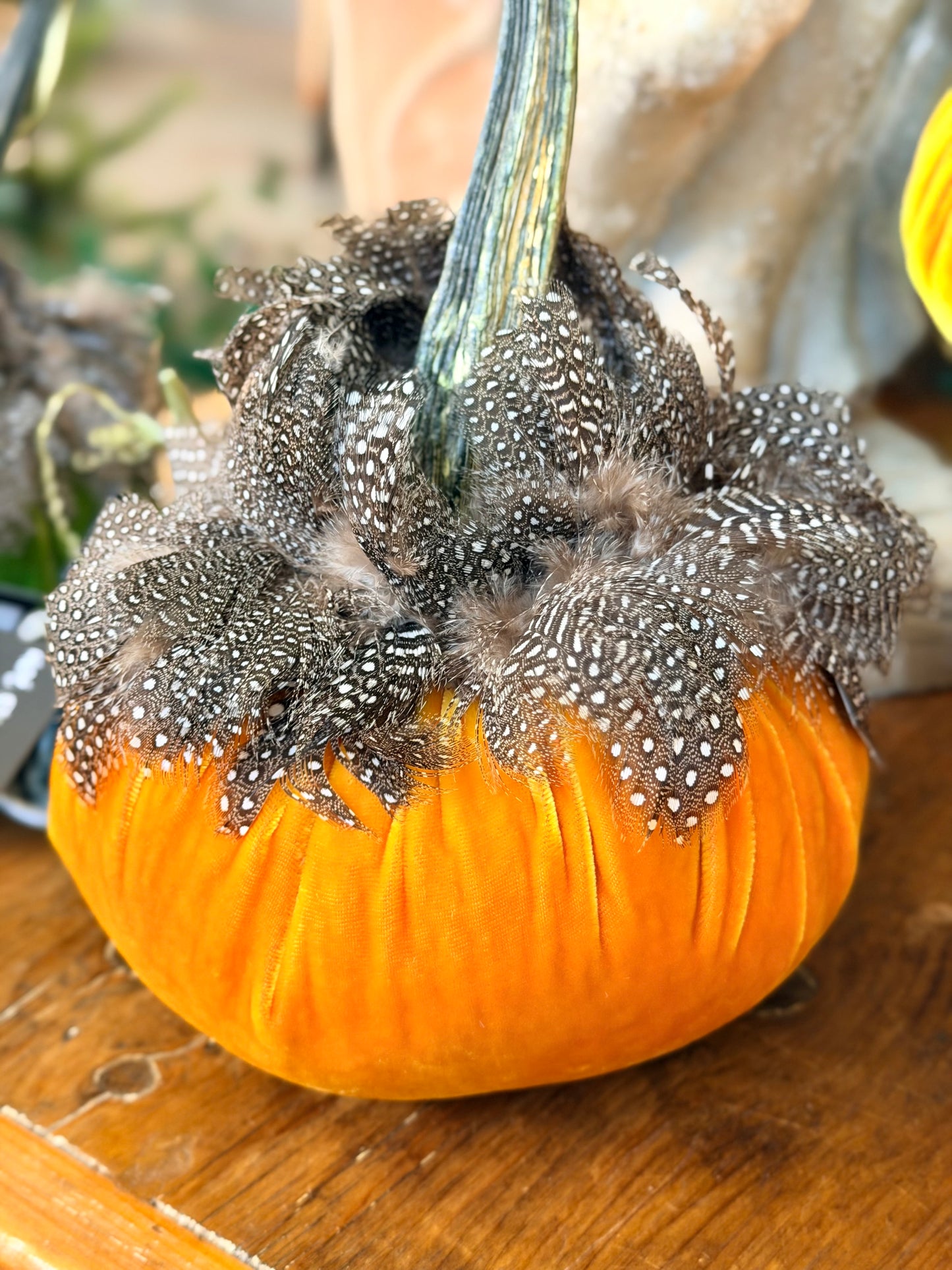 6" Carrot Velvet Pumpkin Guinea Feather Collar