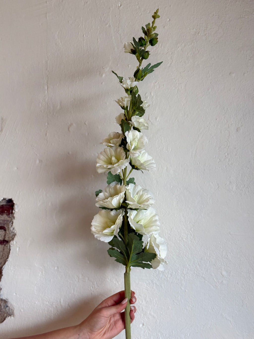 43" White Hollyhock Stem