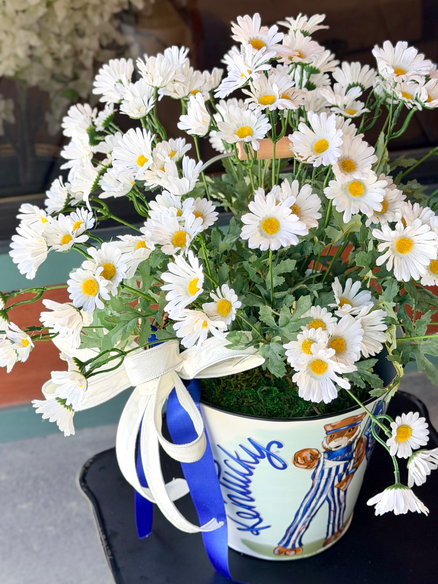 UK Daisy Bucket