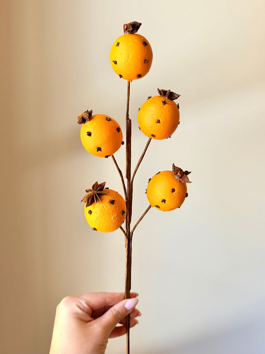 19.5" ORANGE W/CLOVE SPRAY