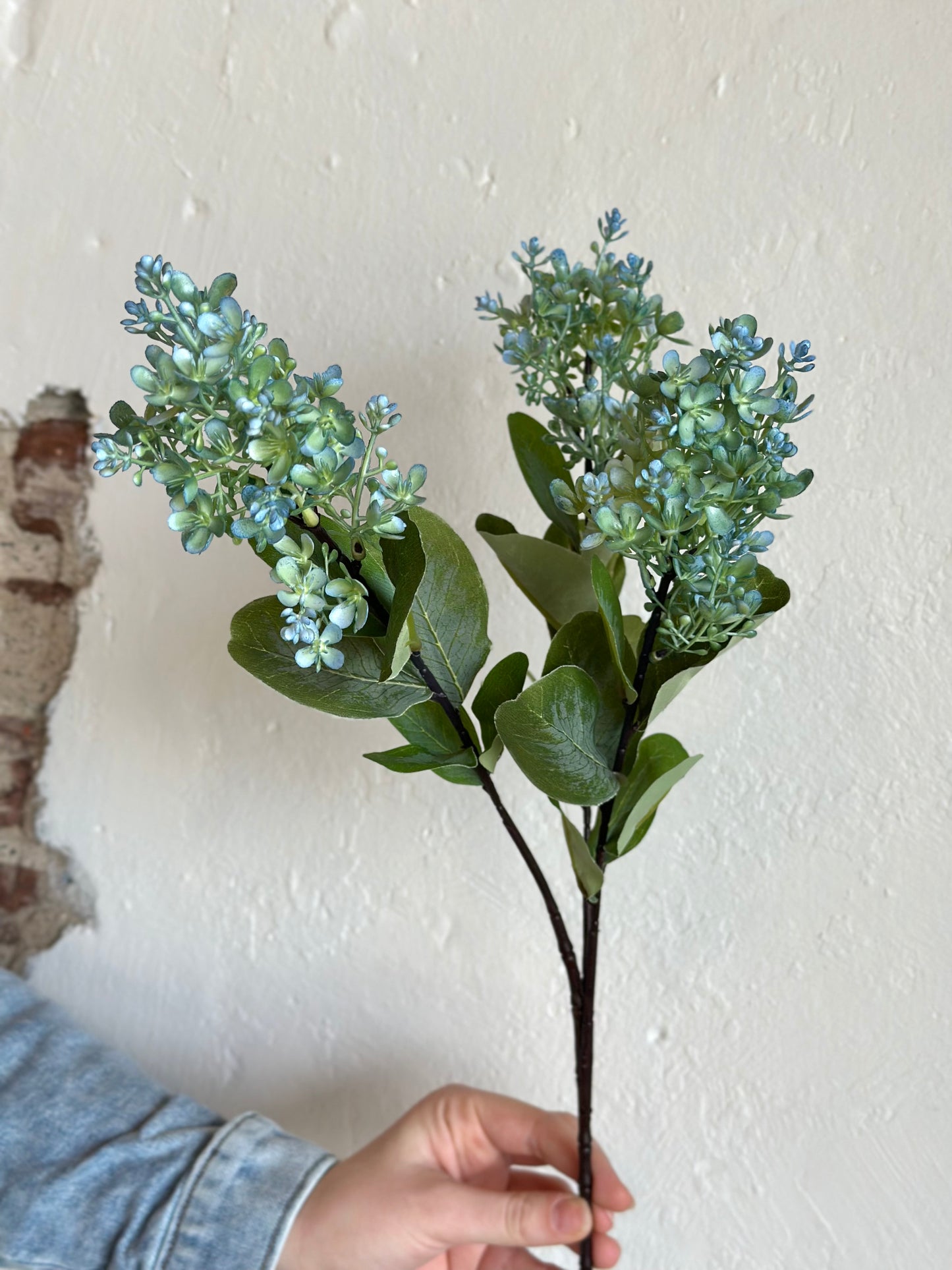 SEEDED PEEGEE HYDRANGEA 29" BLUE