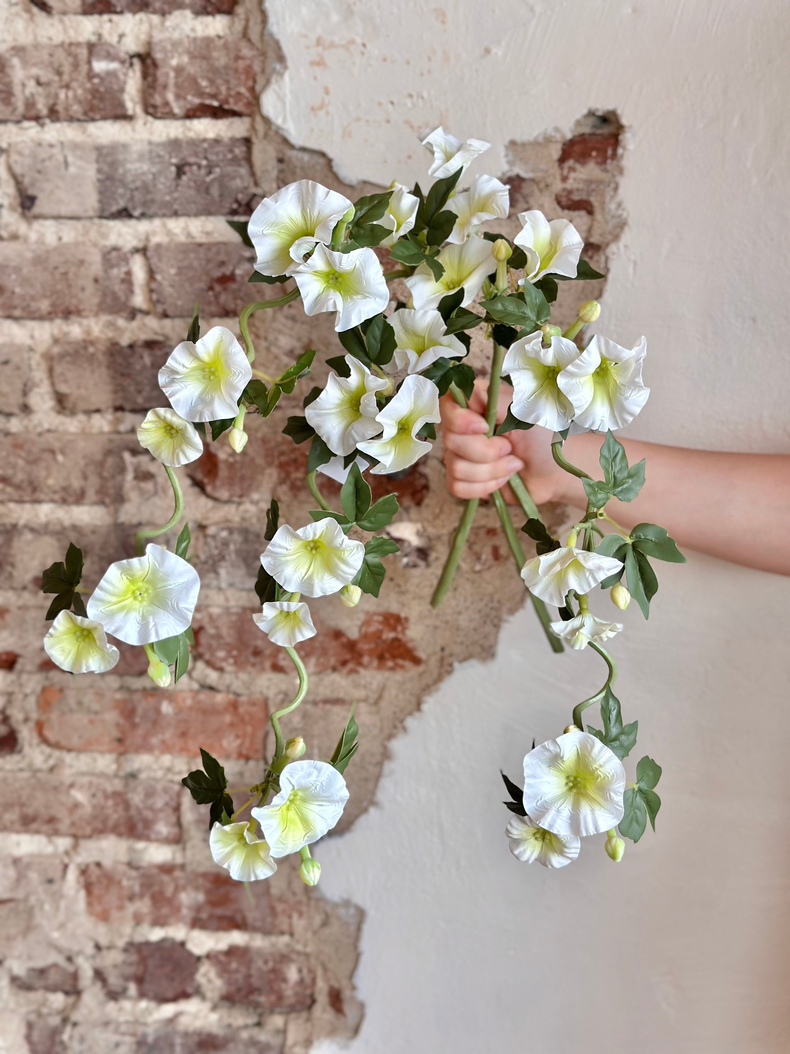 14" Clematis Vine- White