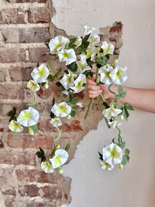 14" Clematis Vine- White
