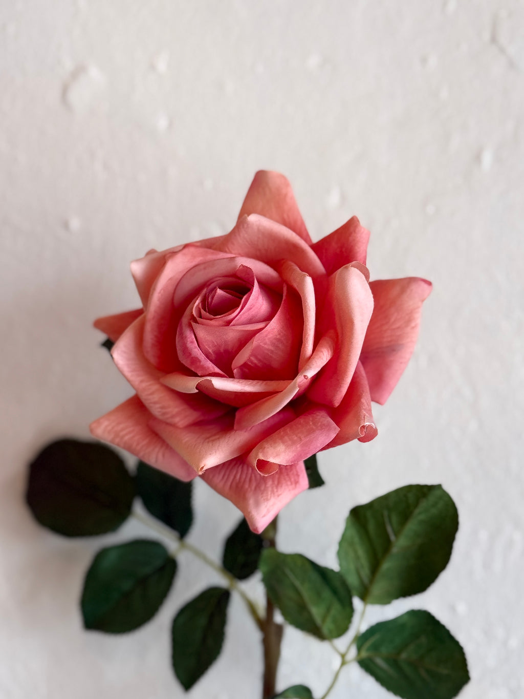 25" Coral Real Touch Duchess Rose Stem
