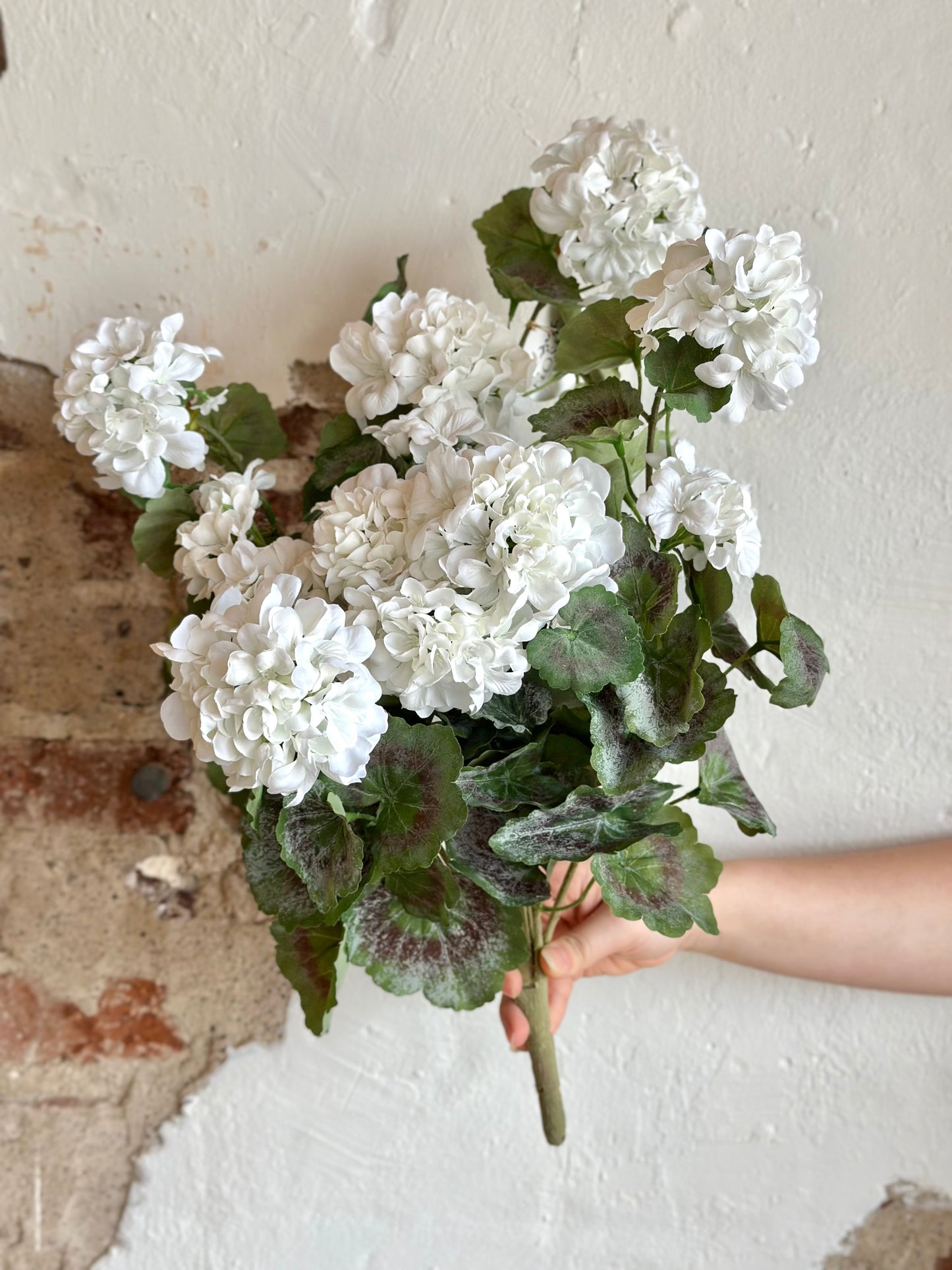 22" Hanging Summer Geranium Plant