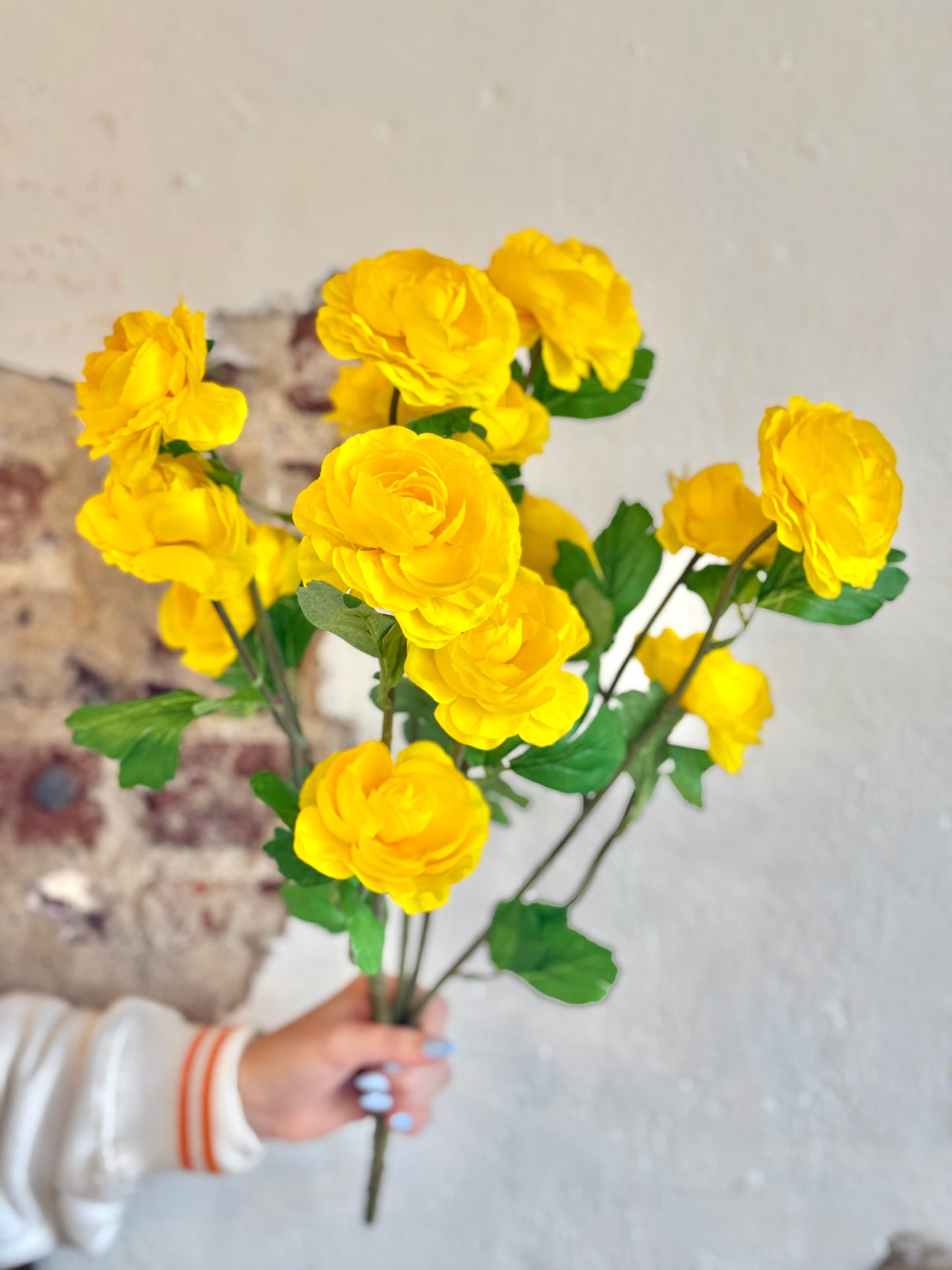 RANUNCULUS BUSH, 21.5", YELLOW/GOLD