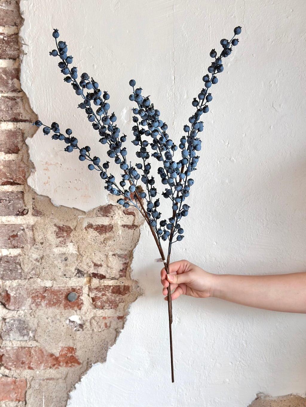 34” Berry Bush Blue - Outdoor