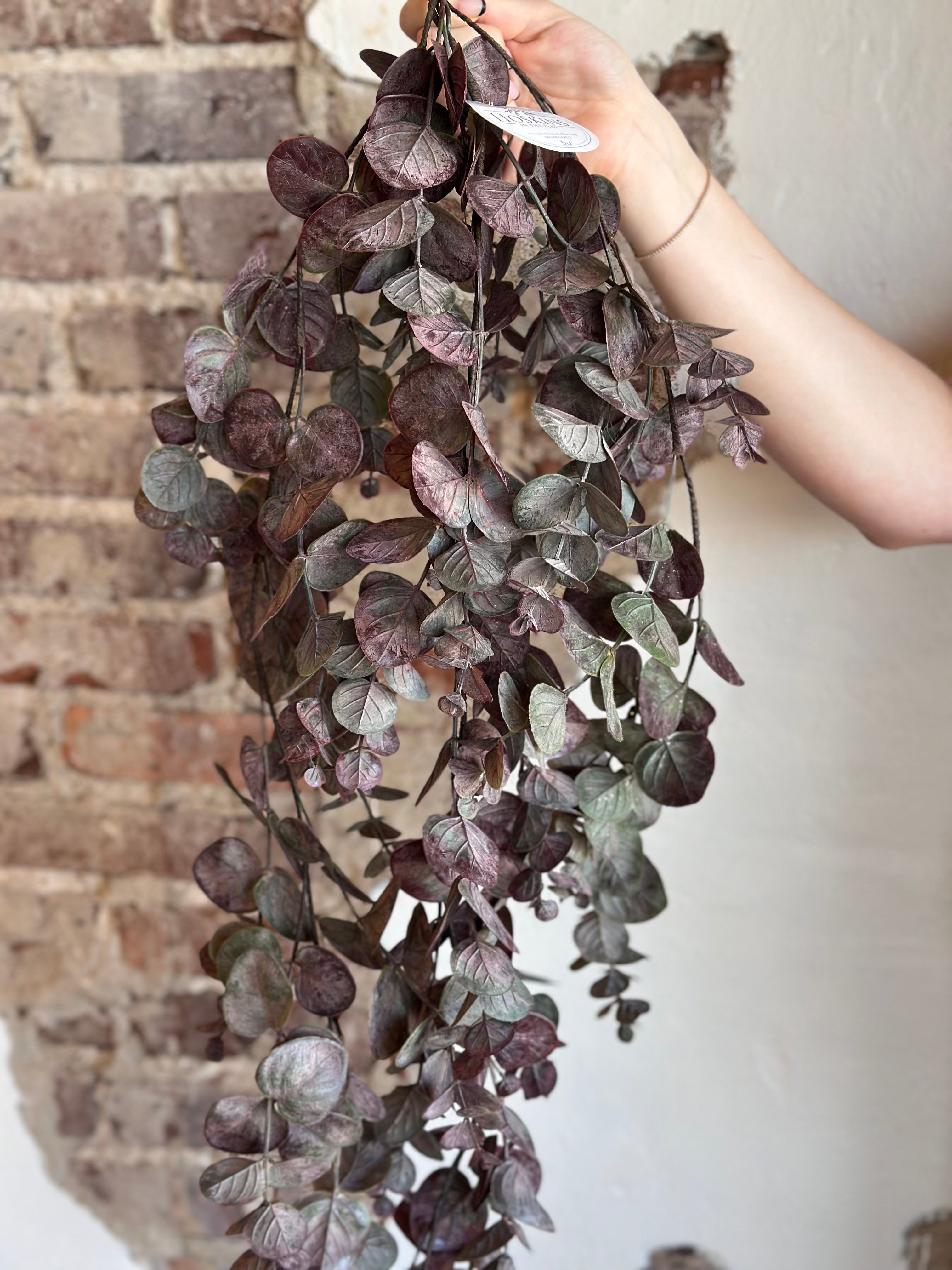 36" Burgundy Eucalyptus Drop