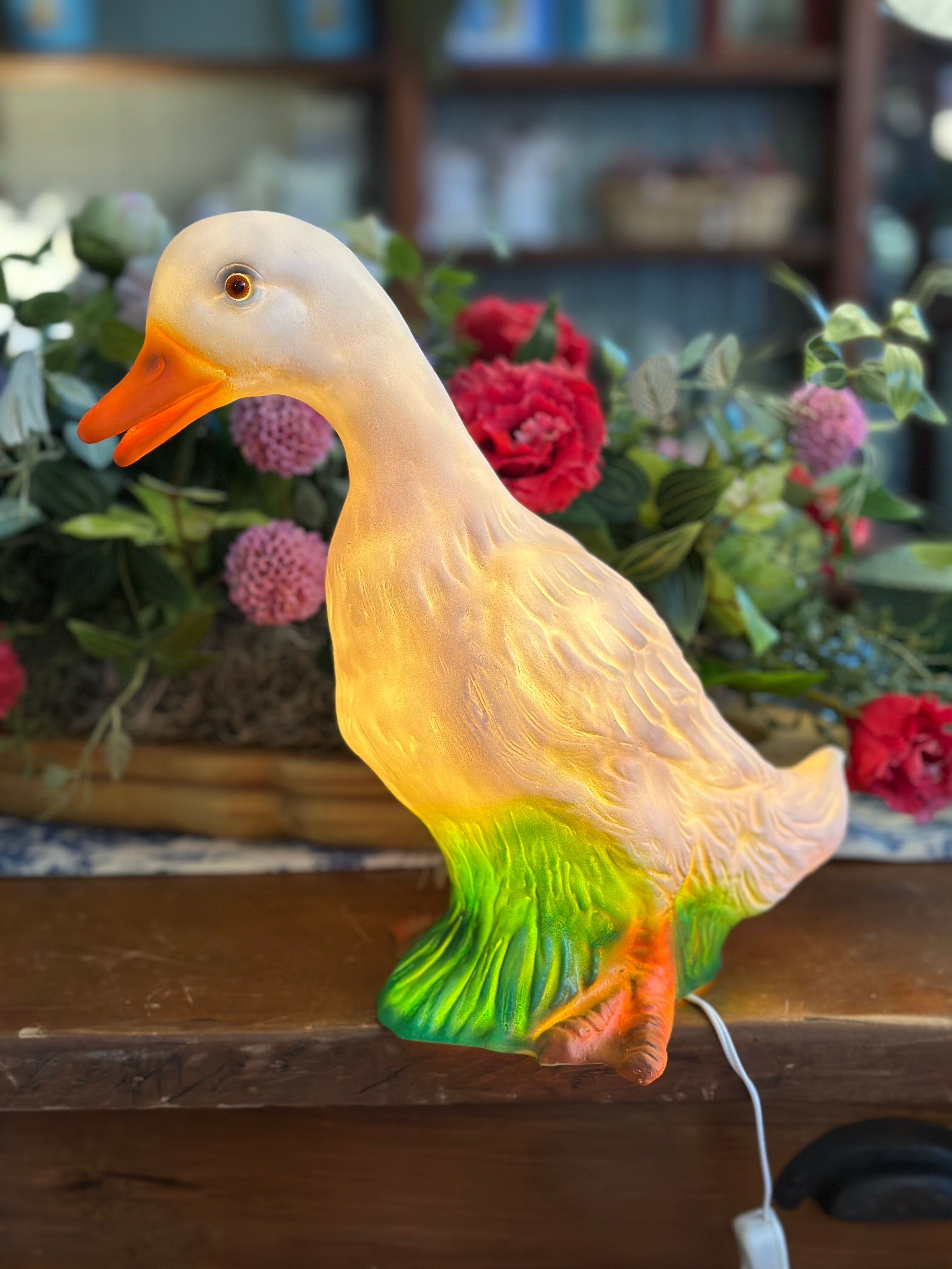 Duck Light w/ Plug