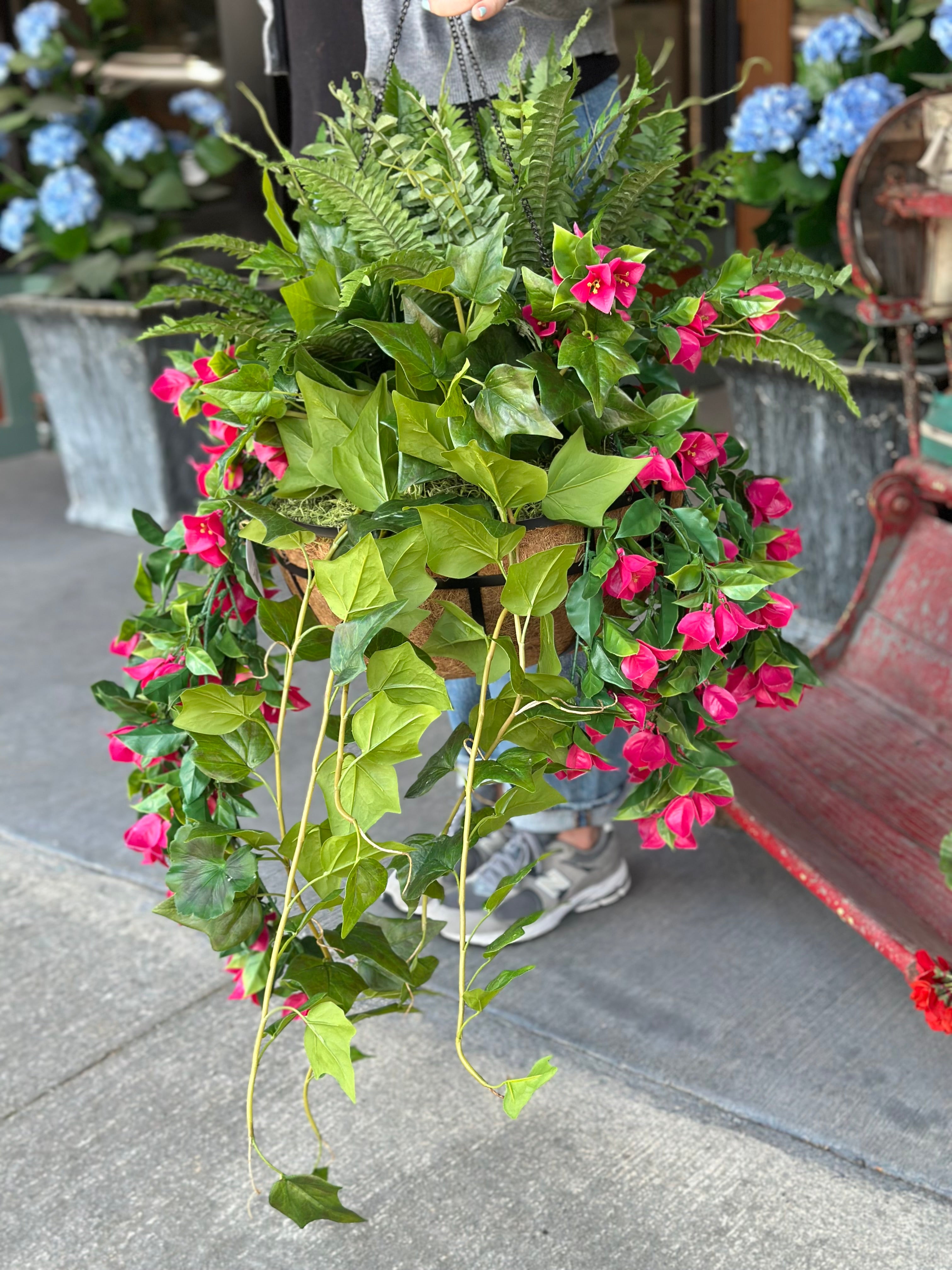 Bougainvillea Hanging Basket