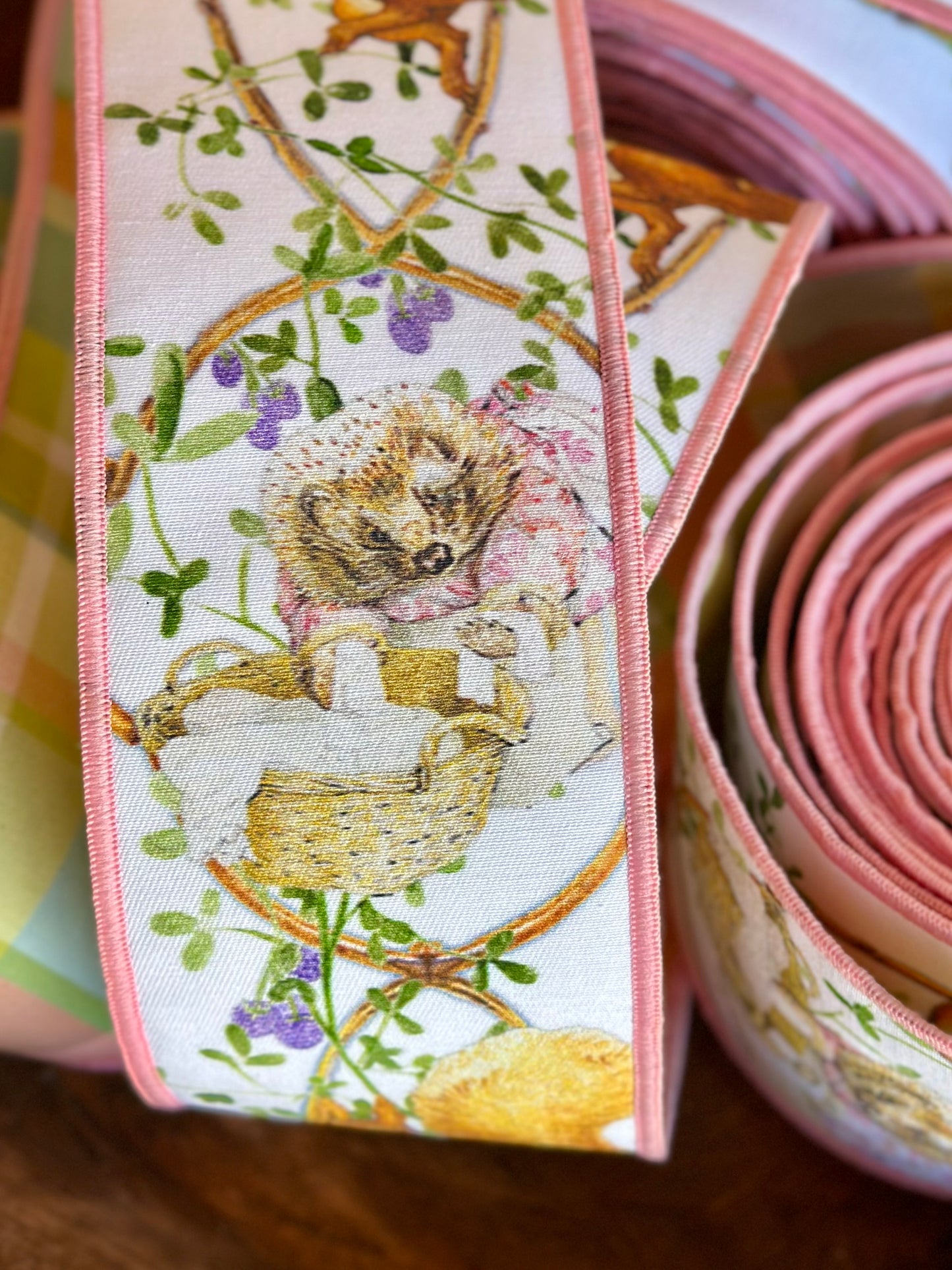 Mrs. Tiggy-Winkle & Squirrel Nutkin Ribbon