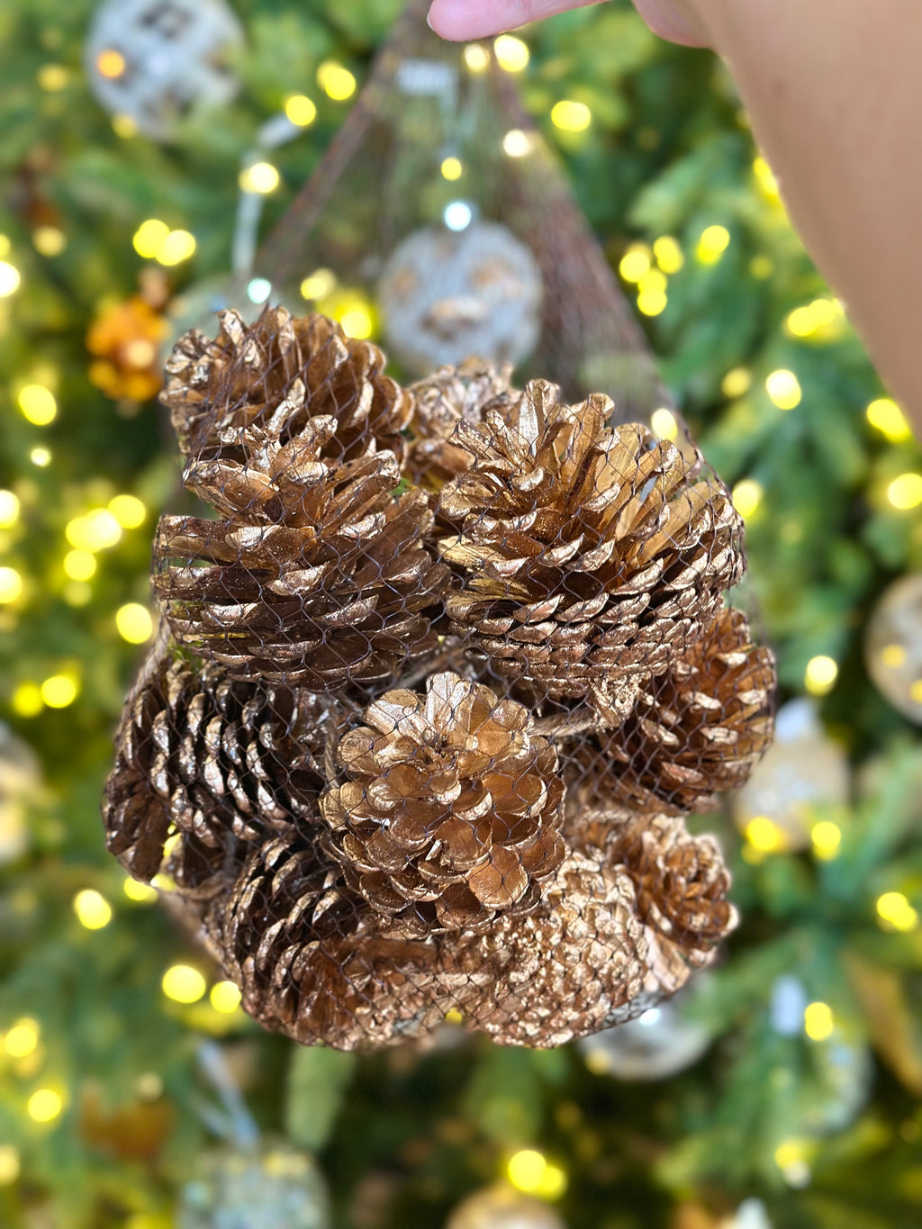 Pine Cone with Hanger Gold in Bag