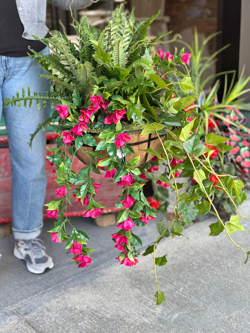 Bougainvillea Hanging Basket