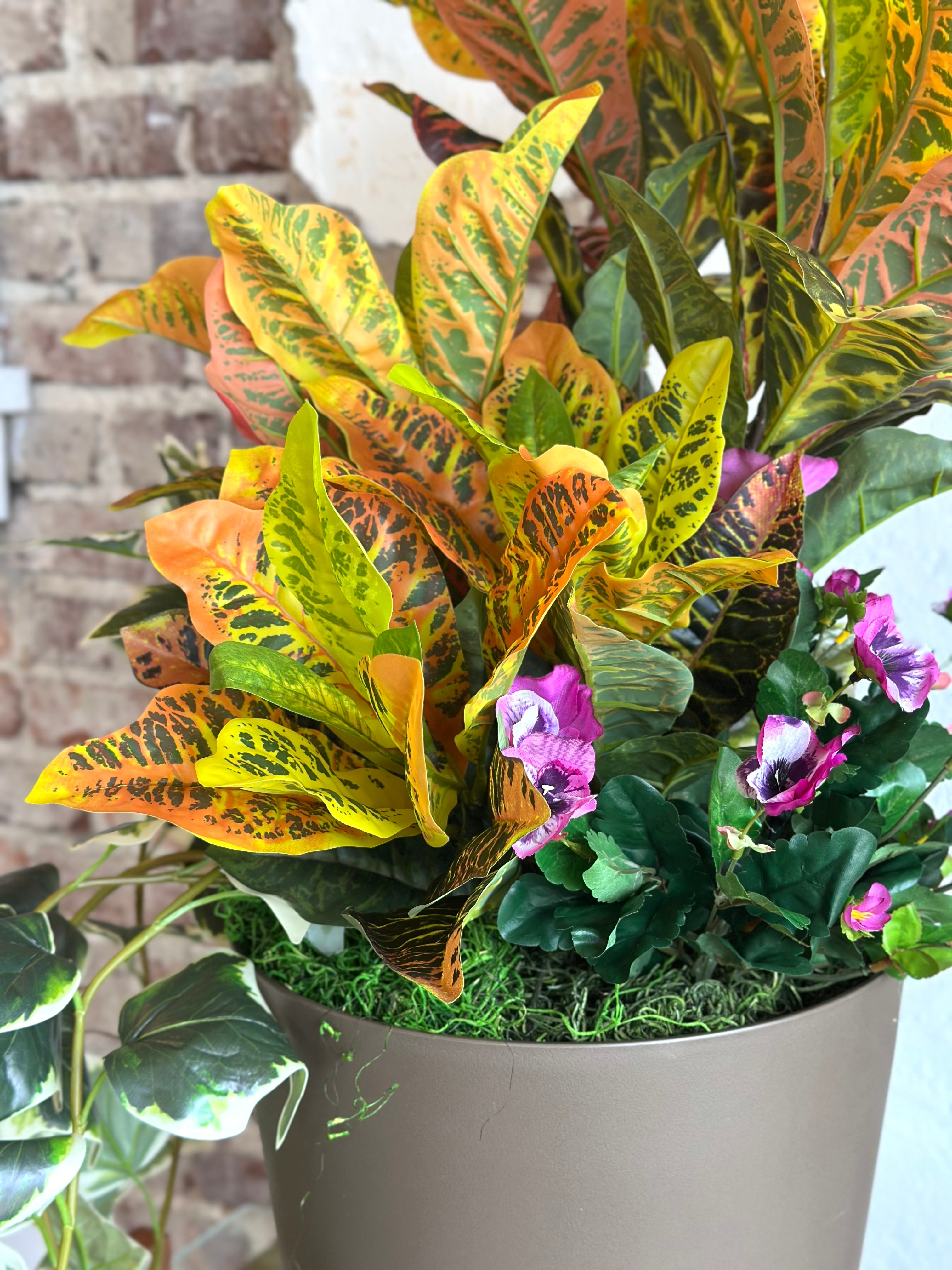 Croton Arrangement
